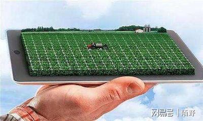 鄉村振興背景下數字農業發展趨勢與實踐策略探析——聚焦智能農業管理